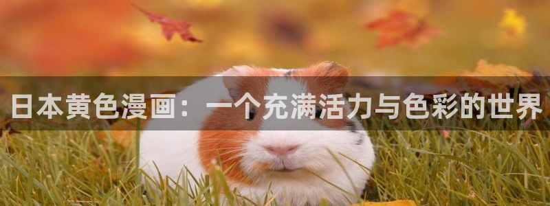 yy漫画平台：日本黄色漫画：一个充满活力与色彩的世界